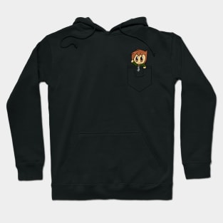 Reduced Reviewer In Pocket Hoodie